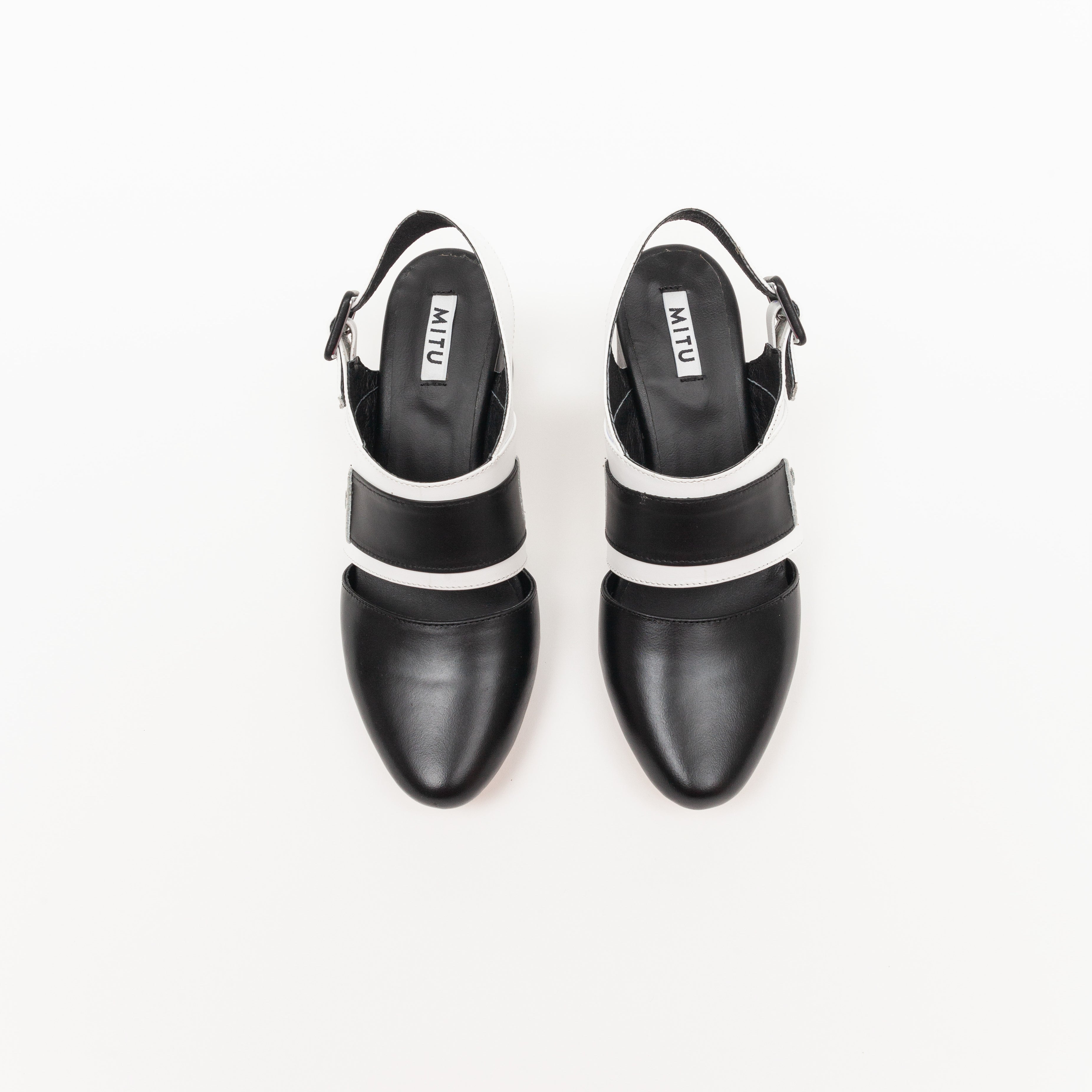 Regina Blanco y Negro