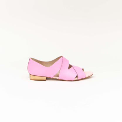 Ana Rosa Edición Limitada